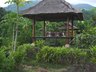 Organic Garden Experience