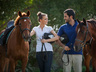Horse Riding
