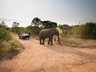 game drive 1