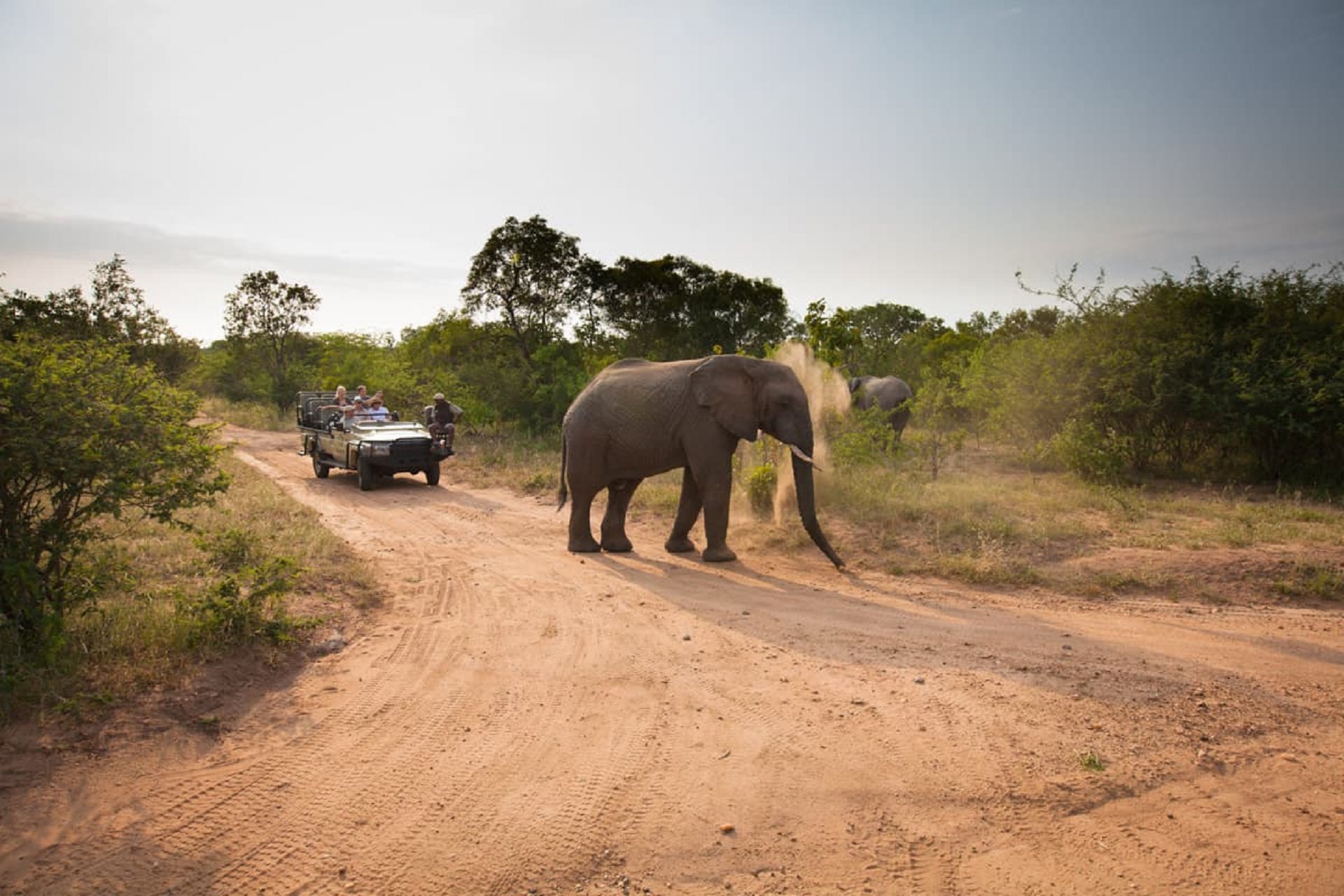 game drive 1
