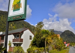 Punga Grove