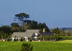 Takatu Lodge and Vineyard