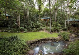 Narrows Escape Rainforest Retreat