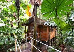Daintree Wilderness Lodge