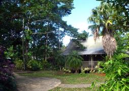 Ferntree Rainforest Lodge