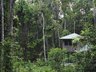 Ferntree Rainforest Lodge