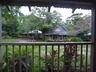 Ferntree Rainforest Lodge
