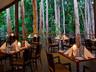 Paperbark Restaurant