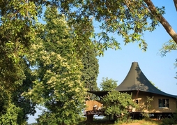 Banjaar Tola