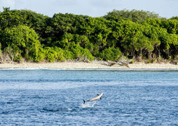 The Barefoot Eco Hotel