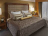 studio suite