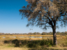 Mokoro Excursions