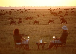 Elewana Elephant Pepper Camp