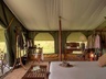 Elephant Pepper Camp Safari Tent