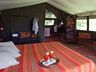 Elephant Pepper Camp Safari Tent
