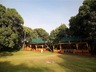 Elephant Pepper Camp Tents