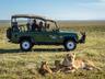 Safari