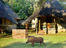 Chobe Safari Lodge