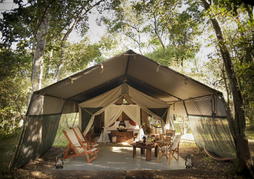 Kicheche Bush Camp