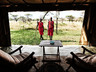 Kicheche Mara Bush Camp