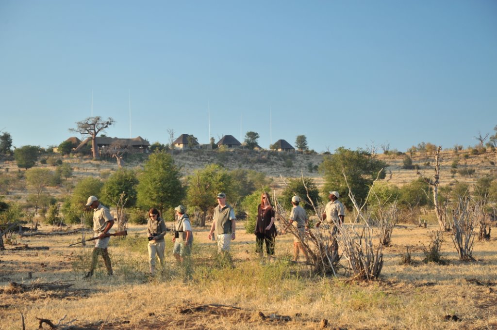Safari