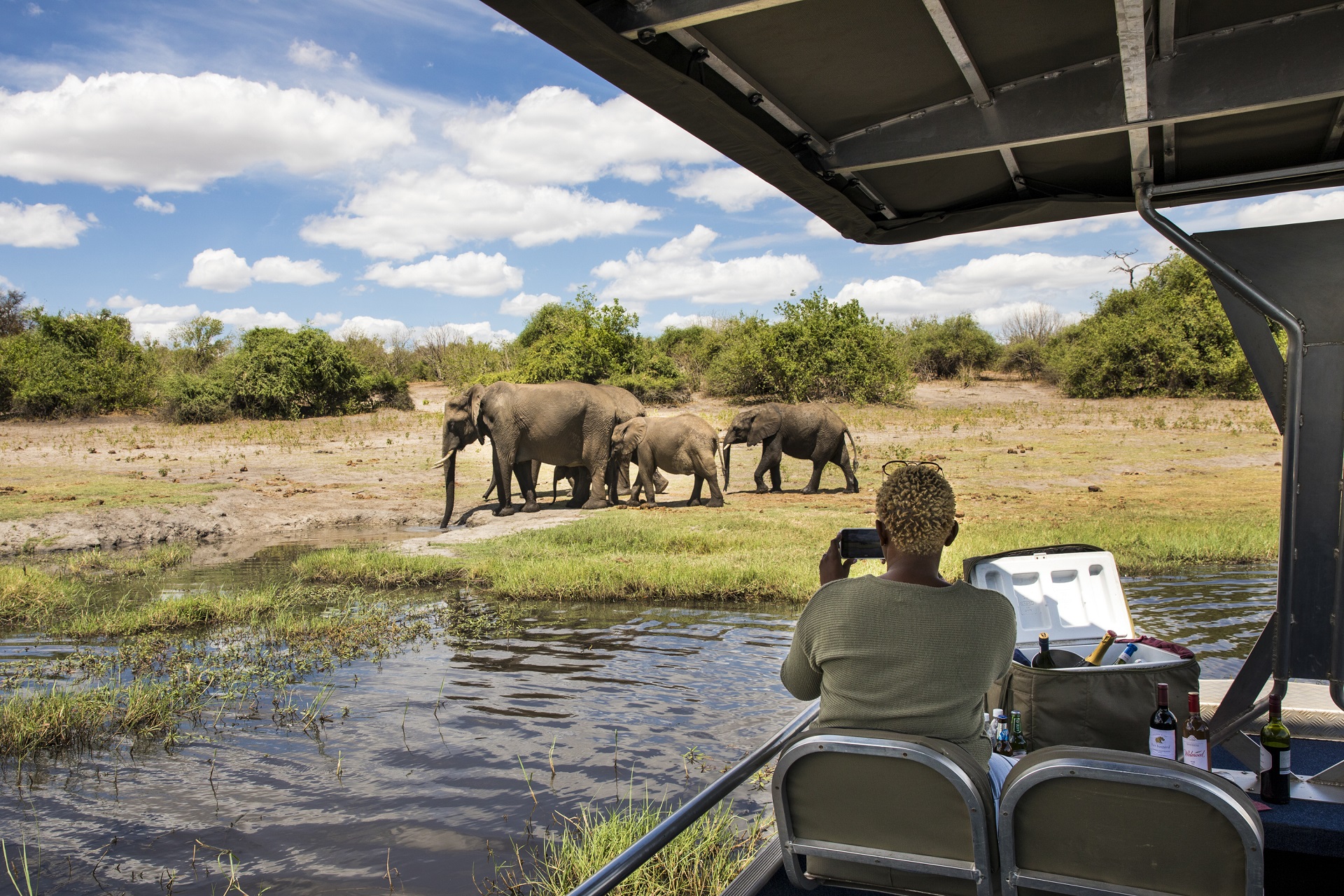 Boat safari elephants