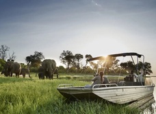 Sanctuary Chobe Chilwero