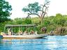 Boat Safari