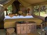 Standard Tent
