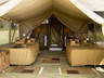 Standard Tent