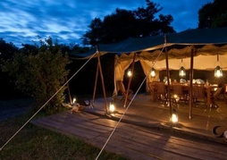 Offbeat Mara Camp