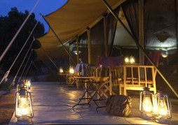 Porini Lion Camp