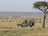 Game Viewing