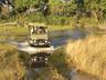 Game Drive