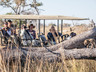 Game Drive