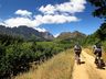 Hire bicycles and explore