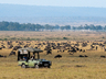 Mara Plains Camp