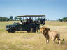 Game Drive