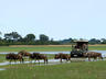 Game Drive