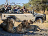 Game Drive