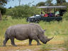 Game Drive