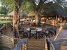Mombo Camp 