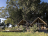 Duba Plains Camp