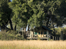 Duba Plains Camp
