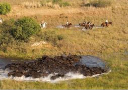 Xaranna Tented Camp
