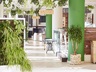 Botany Cafe