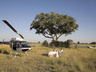 Eagle Island Camp