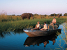 Eagle Island Camp
