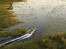 Fishing Excursions