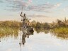 On the river